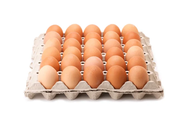 œufs de poule